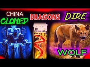 direwolf